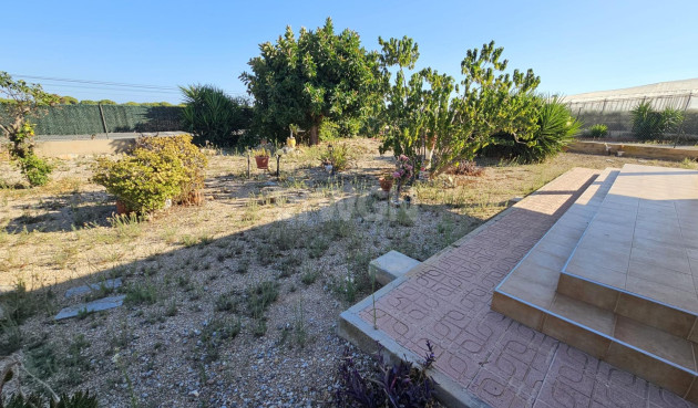 Odsprzedaż - Villa - Guardamar del Segura - Buenavista