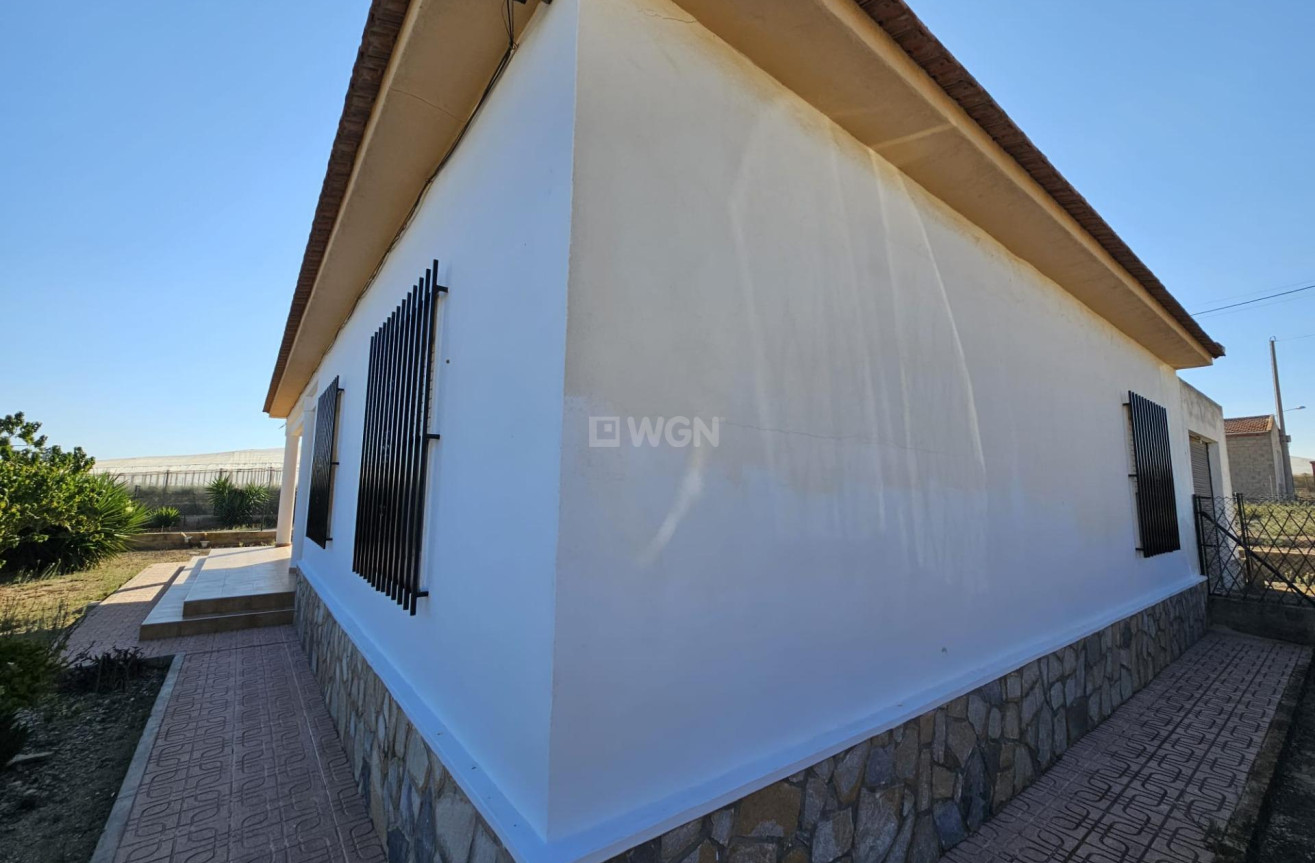 Odsprzedaż - Villa - Guardamar del Segura - Buenavista