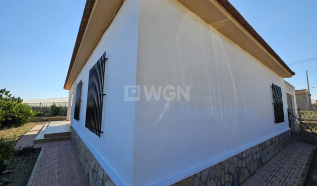 Odsprzedaż - Villa - Guardamar del Segura - Buenavista