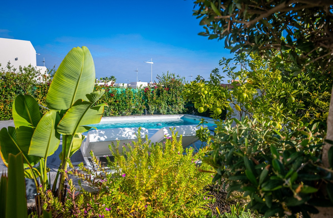 Odsprzedaż - Villa - Algorfa - Inland