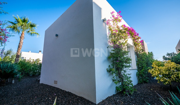 Odsprzedaż - Villa - Algorfa - Inland