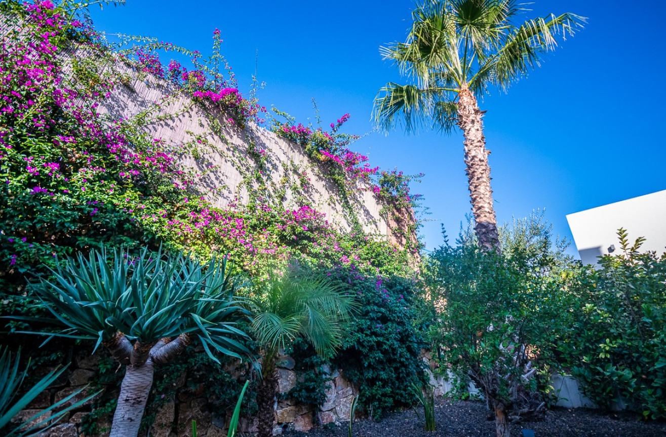 Odsprzedaż - Villa - Algorfa - Inland