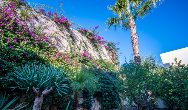 Odsprzedaż - Villa - Algorfa - Inland