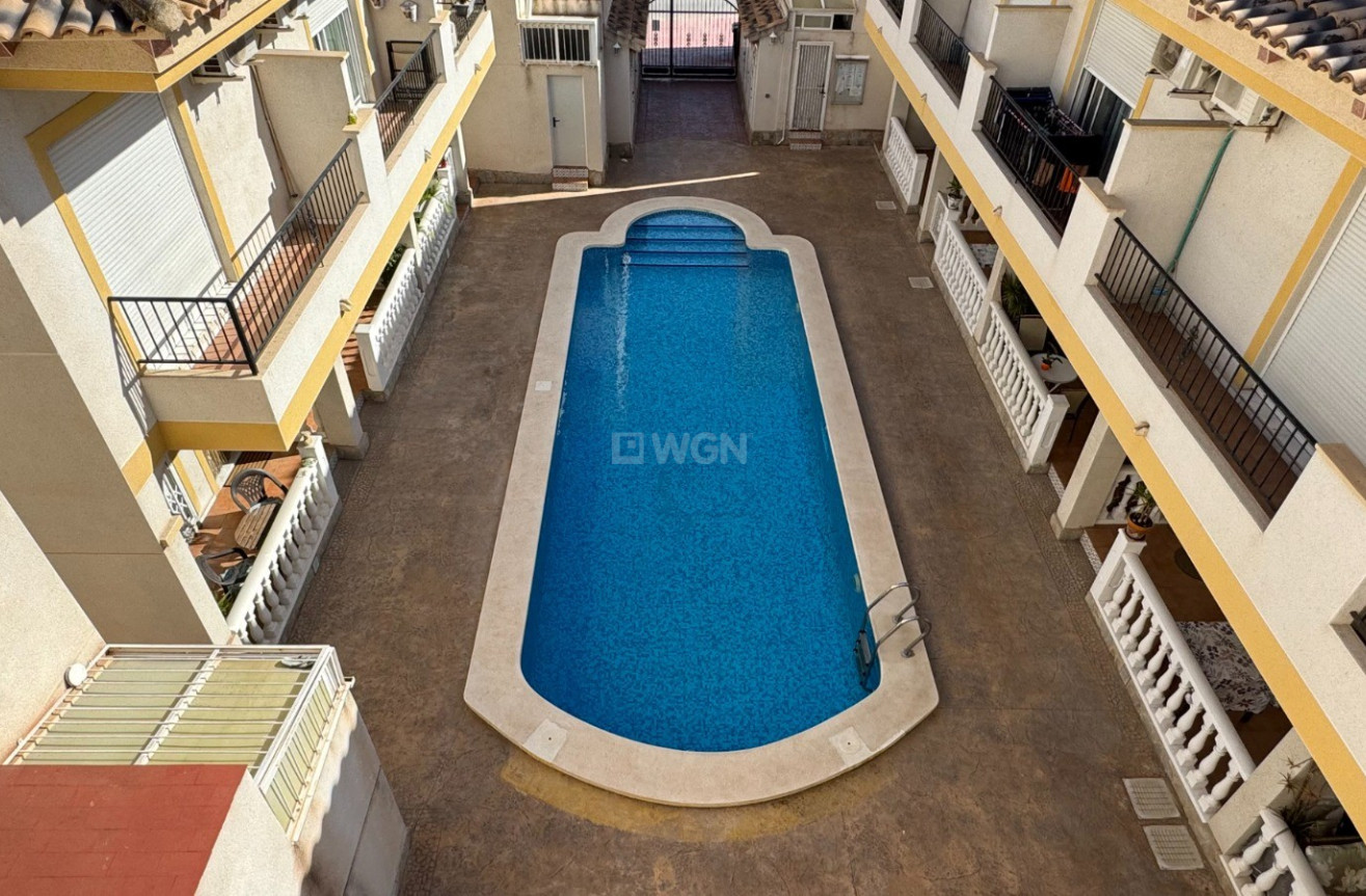 Reventa - Property - Catral - Costa Blanca