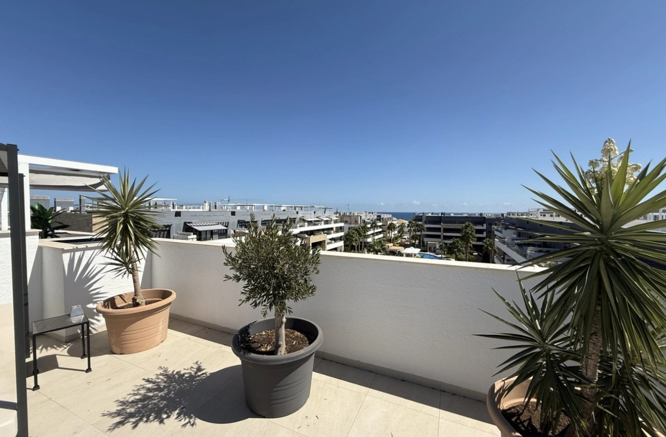 Reventa - Apartamento / piso - Playa Flamenca - Costa Blanca