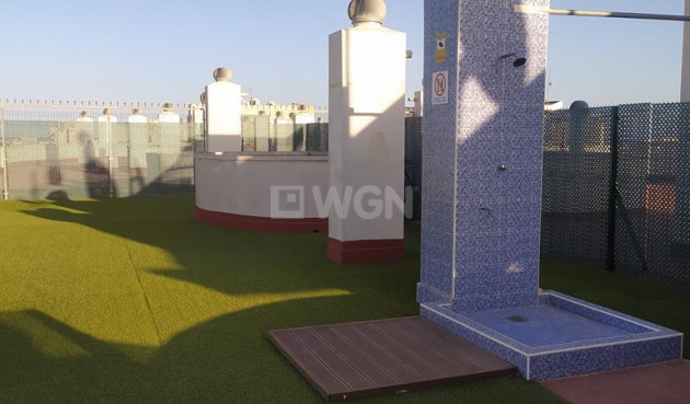 Odsprzedaż - Mieszkanie w bloku - Torrevieja - El Molino