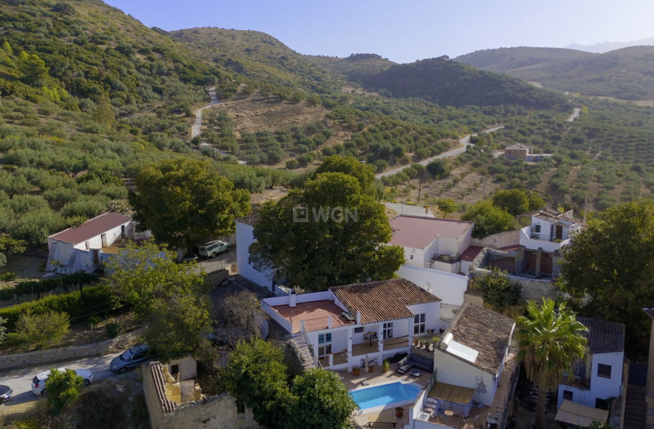 Resale - Villa - Periana - Inland