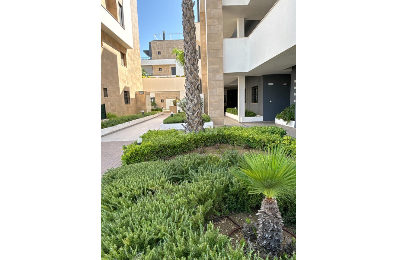 Wiederverkauf - Wohnung - Orihuela Costa - Playa Flamenca