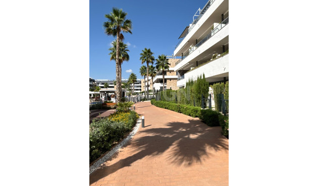Wiederverkauf - Wohnung - Orihuela Costa - Playa Flamenca