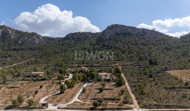 Wiederverkauf - Property - La Zarza - Inland