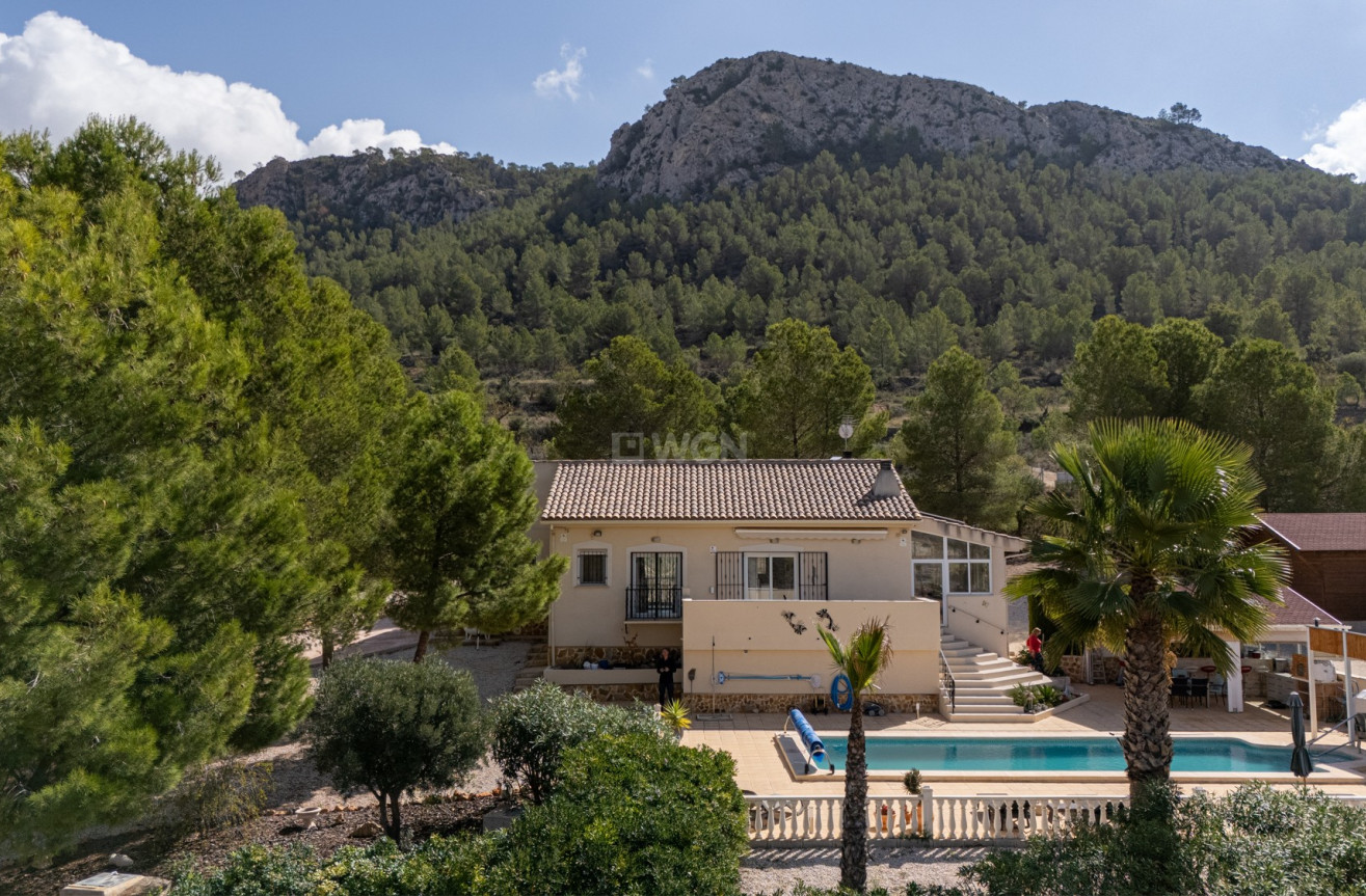 Wiederverkauf - Property - La Zarza - Inland