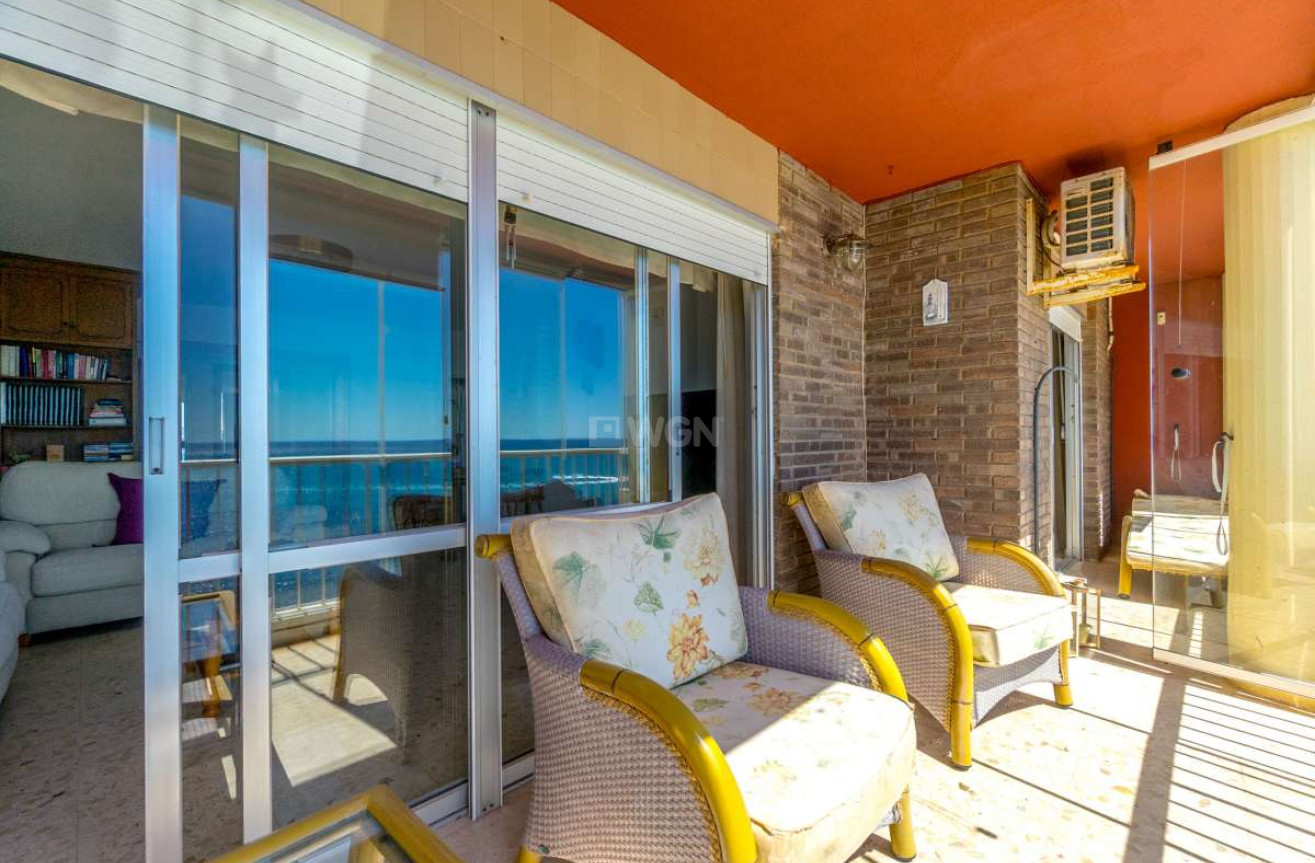 Odsprzedaż - Mieszkanie w bloku - Torrevieja - Costa Blanca