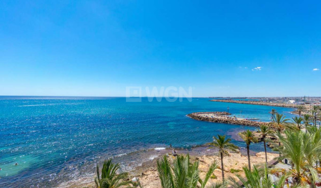Odsprzedaż - Mieszkanie w bloku - Torrevieja - Costa Blanca