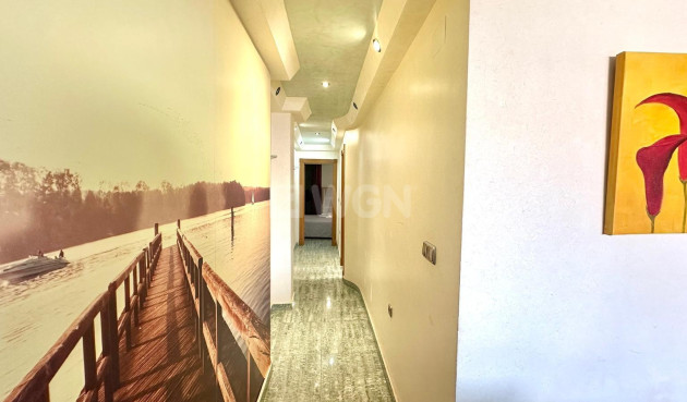 Wiederverkauf - Penthouse - Torrevieja