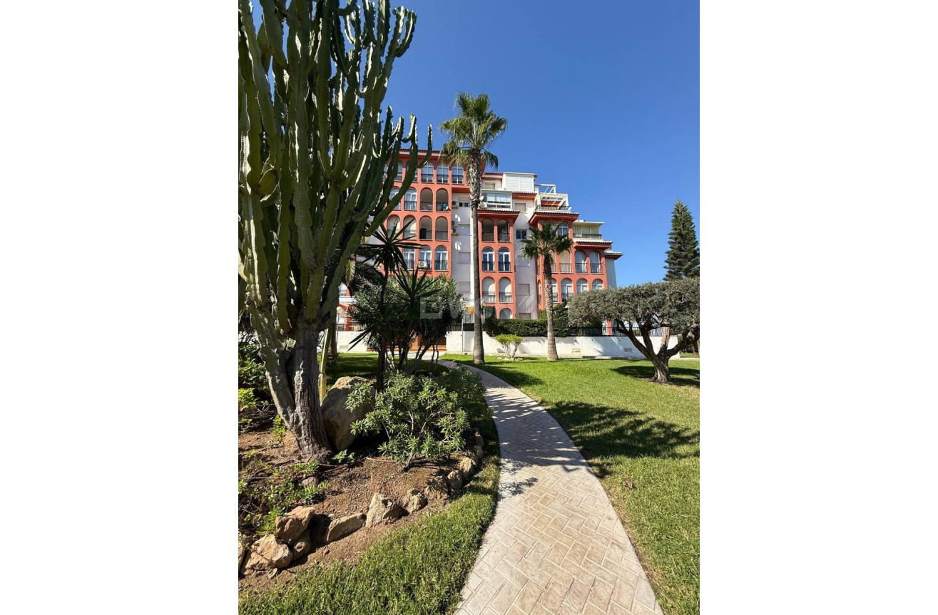 Odsprzedaż - Mieszkanie w bloku - Torrevieja - Aguas Nuevas 2