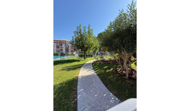 Odsprzedaż - Mieszkanie w bloku - Torrevieja - Aguas Nuevas 2