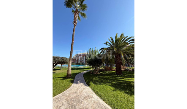 Odsprzedaż - Mieszkanie w bloku - Torrevieja - Aguas Nuevas 2