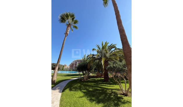 Odsprzedaż - Mieszkanie w bloku - Torrevieja - Aguas Nuevas 2