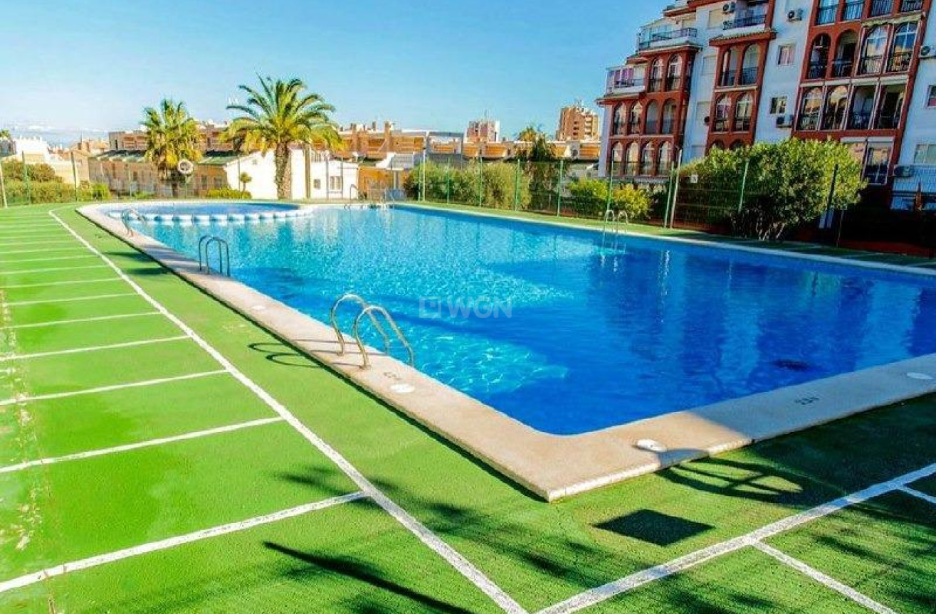 Odsprzedaż - Mieszkanie w bloku - Torrevieja - Aguas Nuevas 2