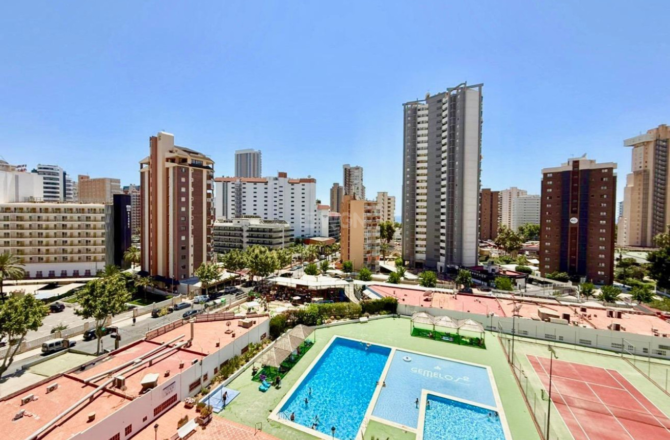 Reventa - Apartamento / piso - Benidorm - Playa De Levante