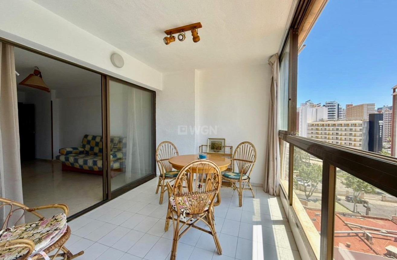Reventa - Apartamento / piso - Benidorm - Playa De Levante