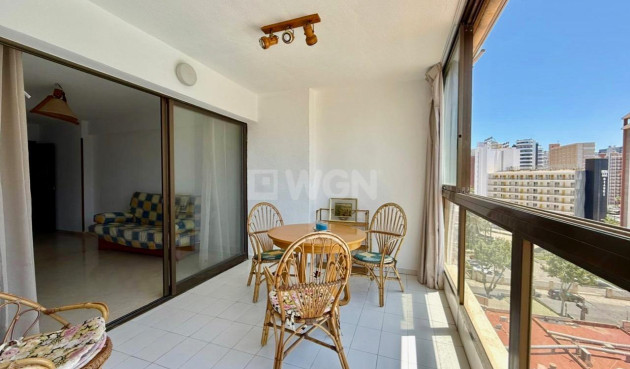 Reventa - Apartamento / piso - Benidorm - Playa De Levante