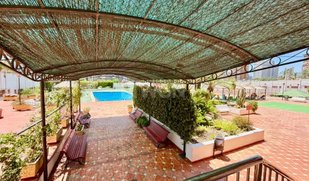 Reventa - Apartamento / piso - Benidorm - Playa De Levante