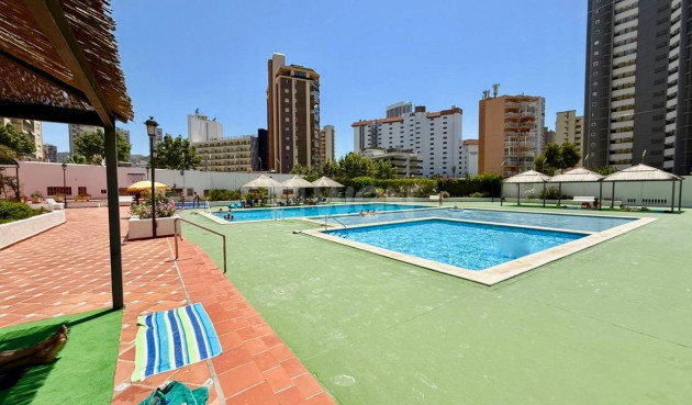 Reventa - Apartamento / piso - Benidorm - Playa De Levante