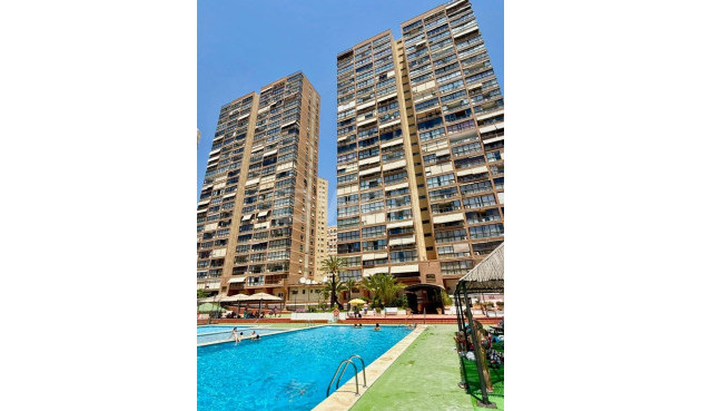 Reventa - Apartamento / piso - Benidorm - Playa De Levante