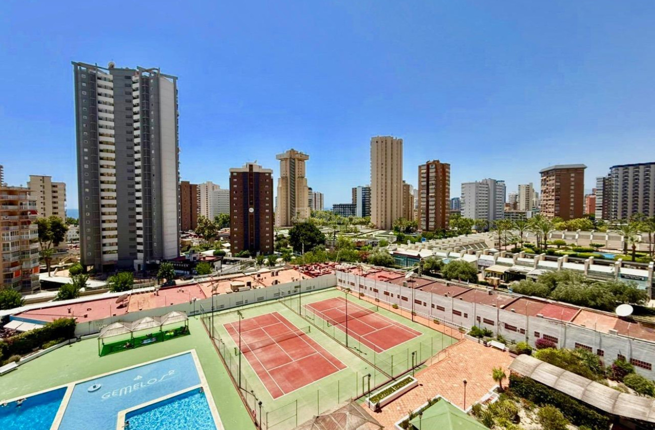 Reventa - Apartamento / piso - Benidorm - Playa De Levante