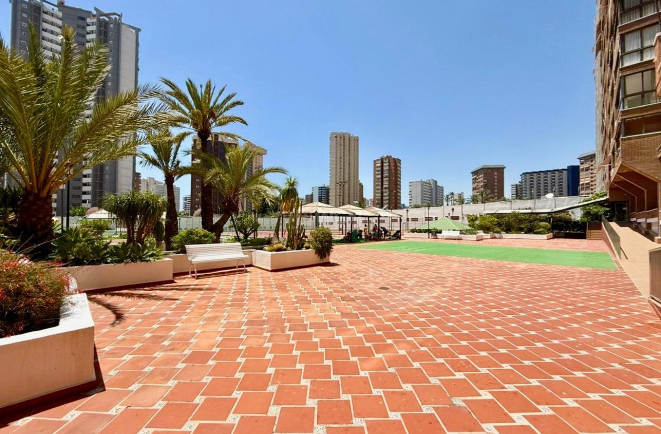 Reventa - Apartamento / piso - Benidorm - Playa De Levante