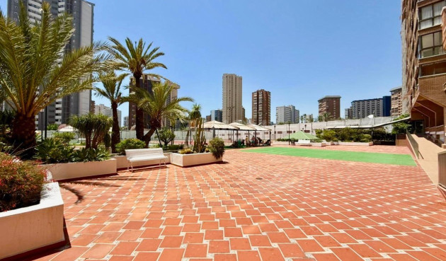 Reventa - Apartamento / piso - Benidorm - Playa De Levante
