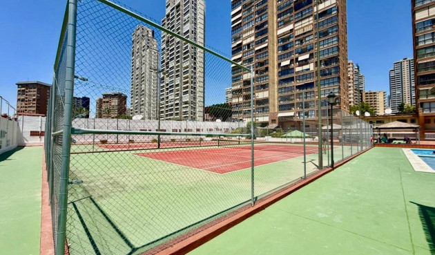 Reventa - Apartamento / piso - Benidorm - Playa De Levante