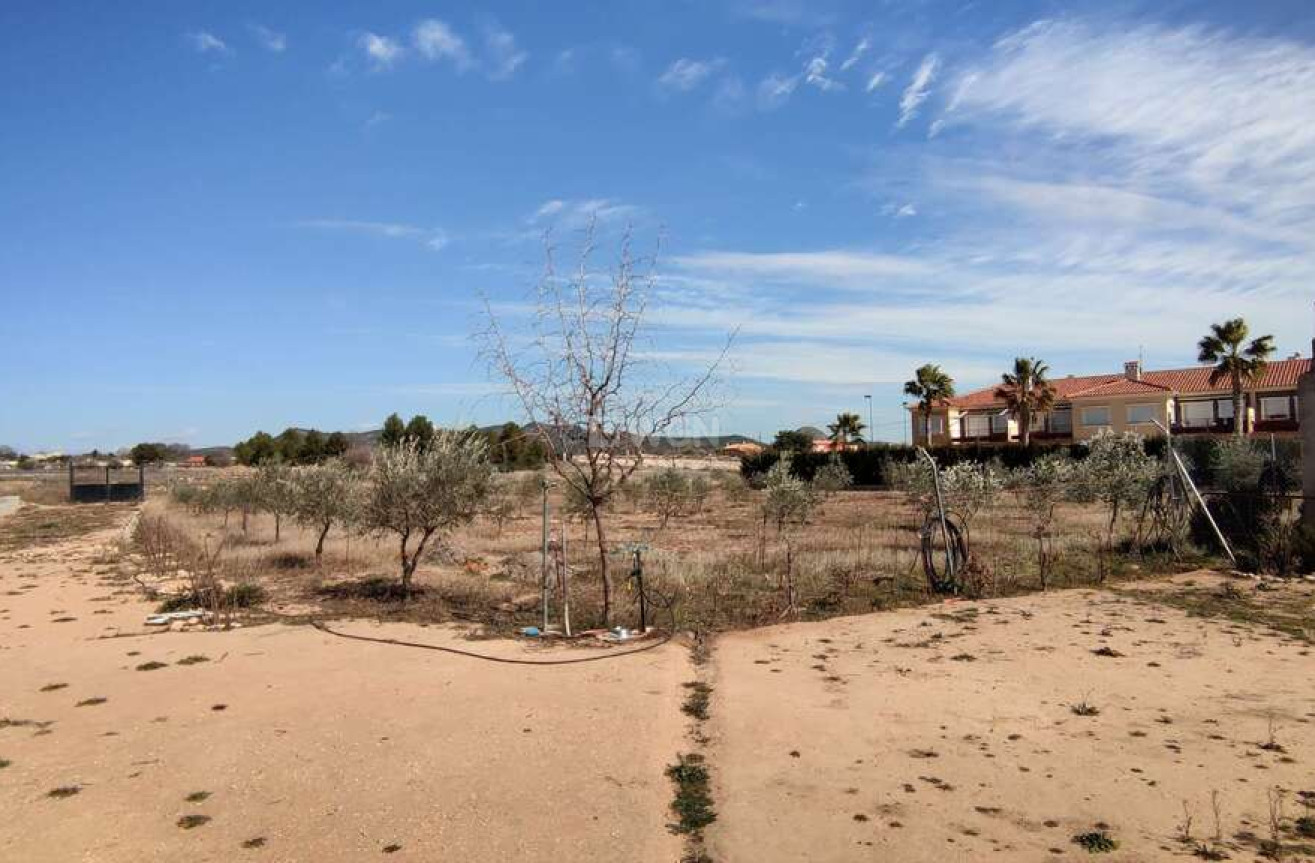 Resale - Villa - Pinoso - Inland