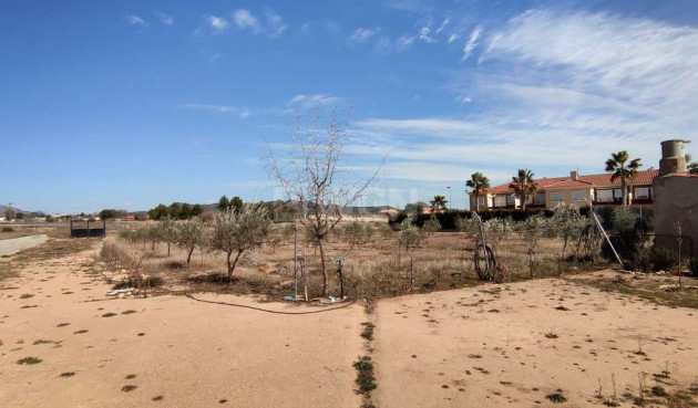 Resale - Villa - Pinoso - Inland