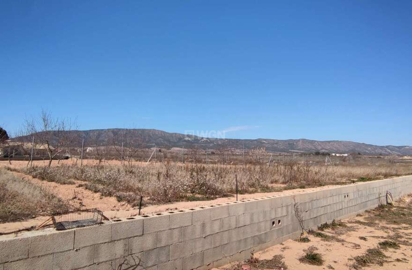 Resale - Villa - Pinoso - Inland