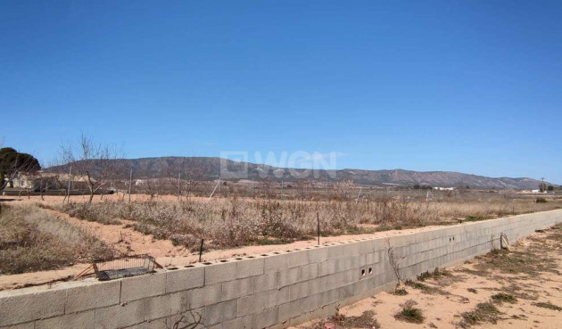 Resale - Villa - Pinoso - Inland