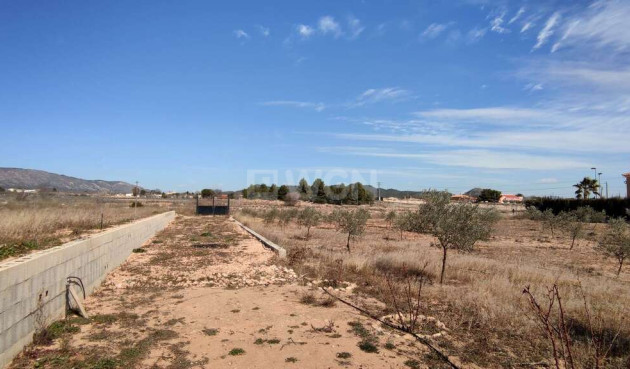 Resale - Villa - Pinoso - Inland