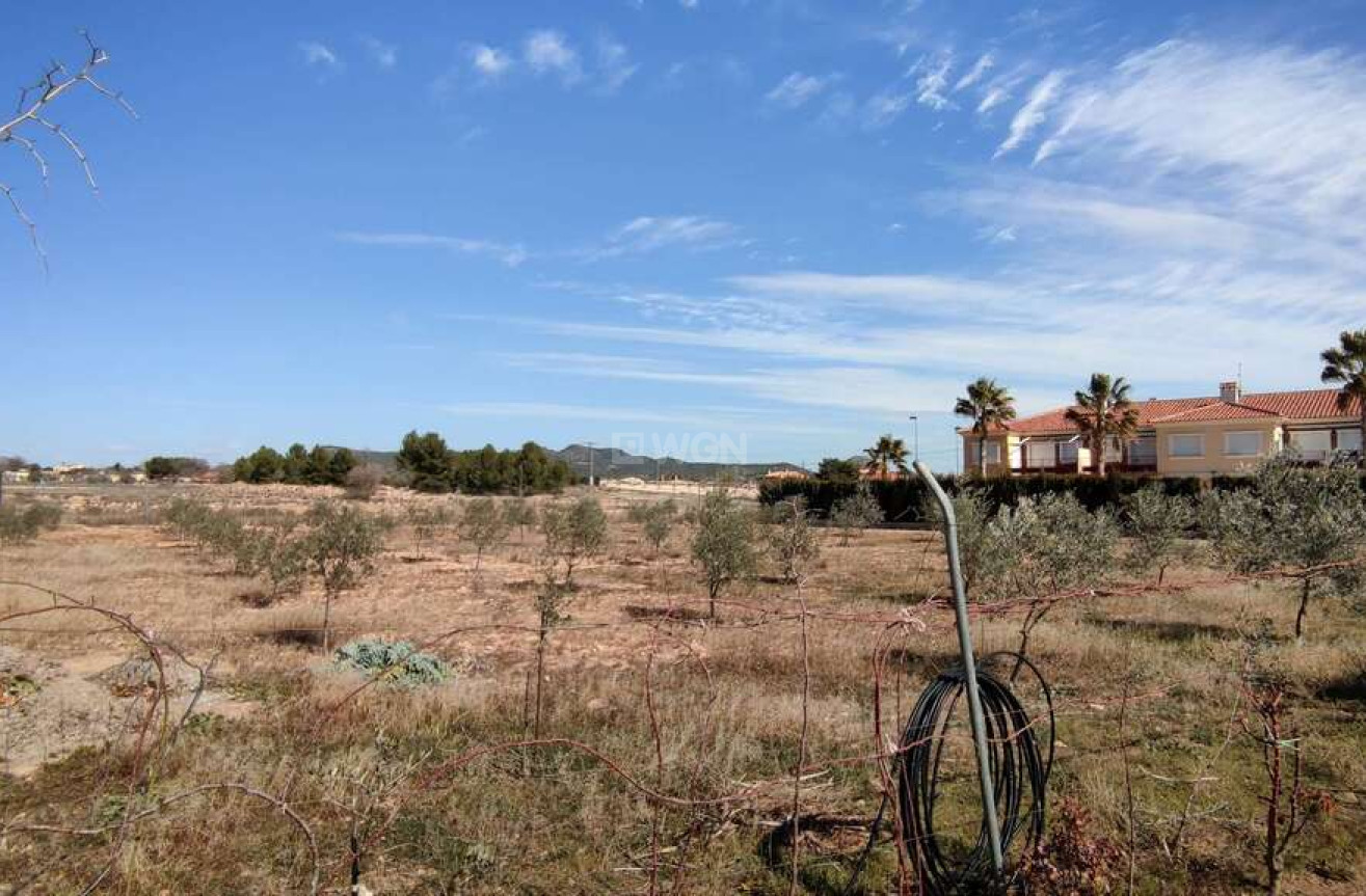 Resale - Villa - Pinoso - Inland