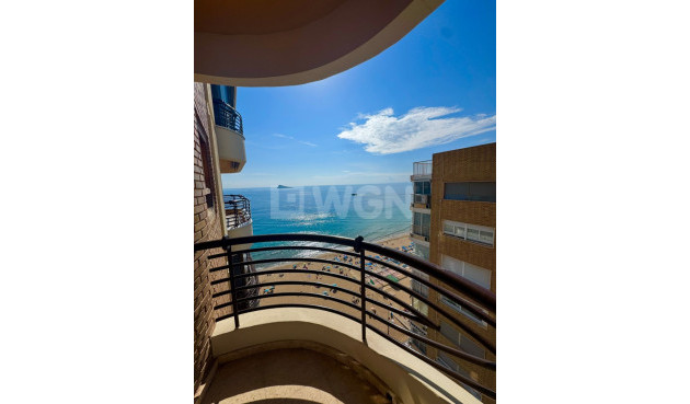 Odsprzedaż - Mieszkanie w bloku - Benidorm - Costa Blanca