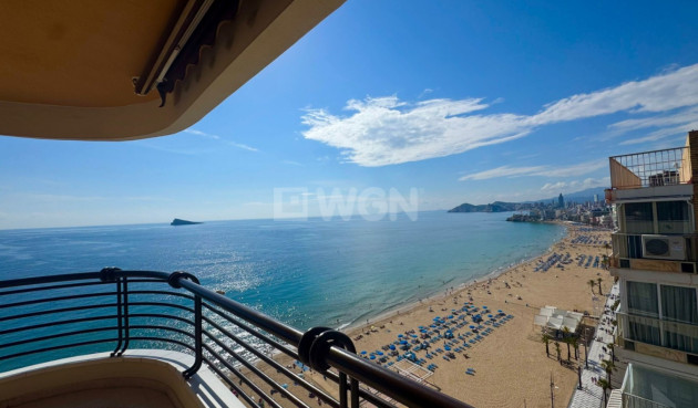 Odsprzedaż - Mieszkanie w bloku - Benidorm - Costa Blanca