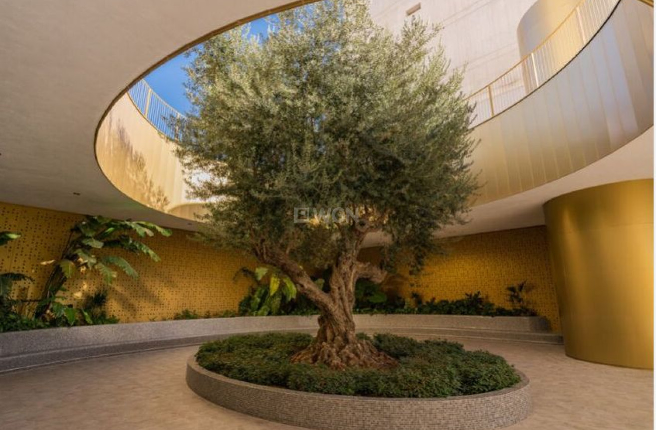 Odsprzedaż - Mieszkanie w bloku - Benidorm - Costa Blanca