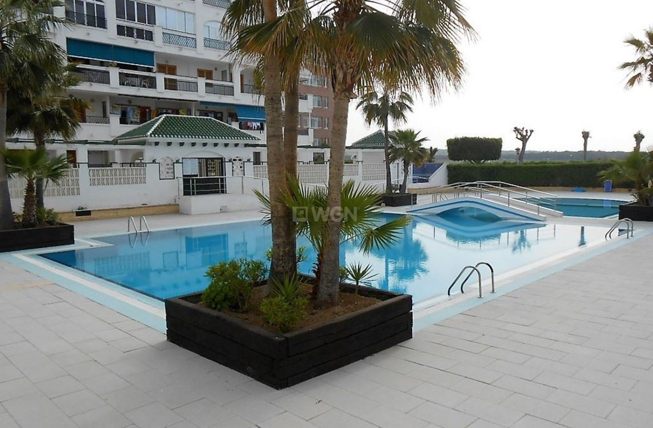 Resale - Apartment / flat - Torrevieja - Costa Blanca
