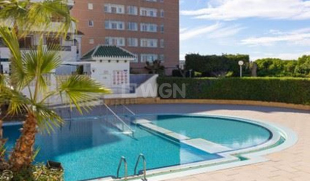 Resale - Apartment / flat - Torrevieja - Costa Blanca