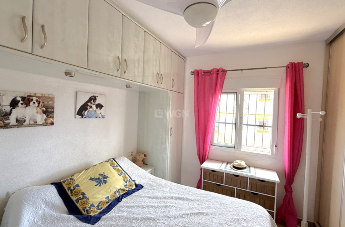 Resale - Apartment / flat - San Miguel de Salinas - Inland