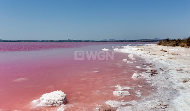 Odsprzedaż - Kamienica - Torrevieja - La Siesta - El Salado - Torreta