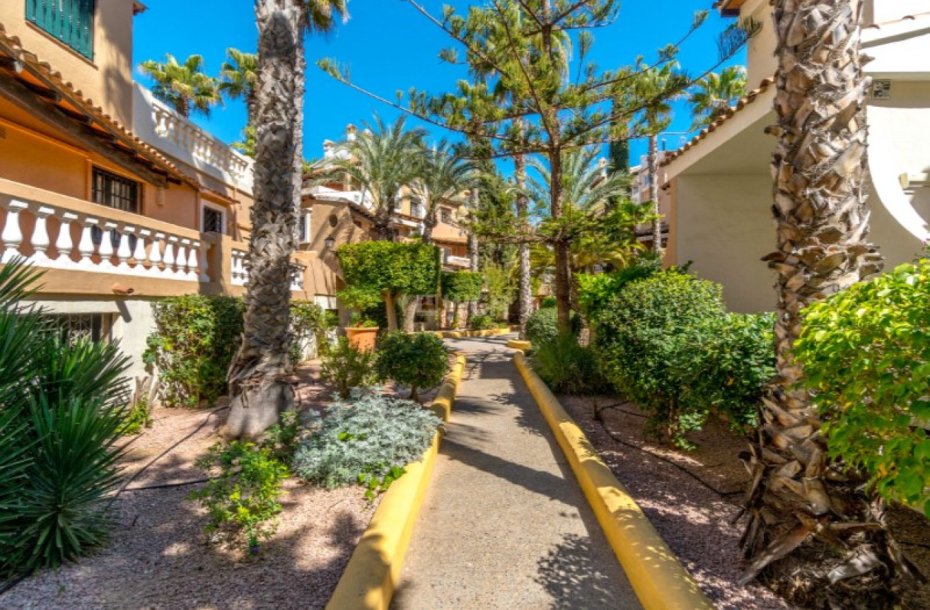 Odsprzedaż - Daszek - Torrevieja - Costa Blanca