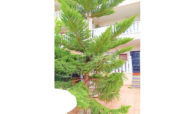 Resale - Bungalow - Orihuela Costa - Lomas De Cabo Roig-los Dolses