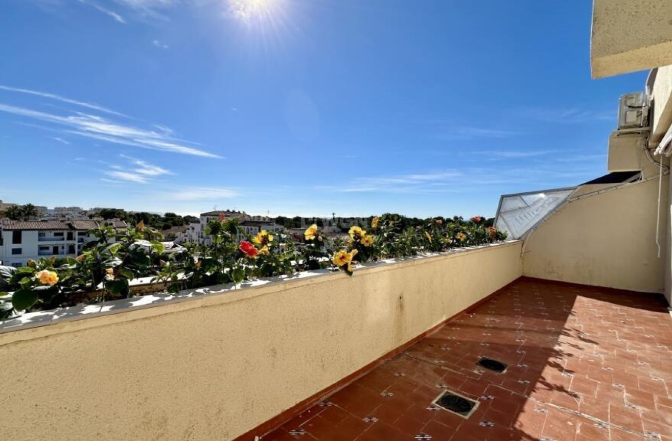 Odsprzedaż - Daszek - Torrevieja - Punta Prima