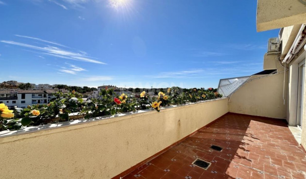 Odsprzedaż - Daszek - Torrevieja - Punta Prima